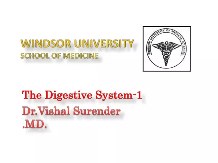 windsor university school of medicine