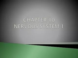 CHAPTER 10 NERVOUS SYSTEM 1