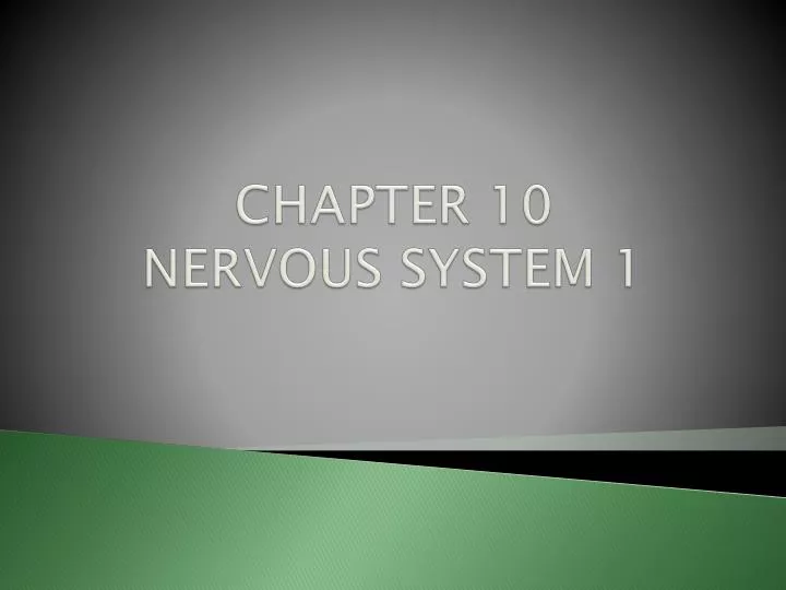 chapter 10 nervous system 1