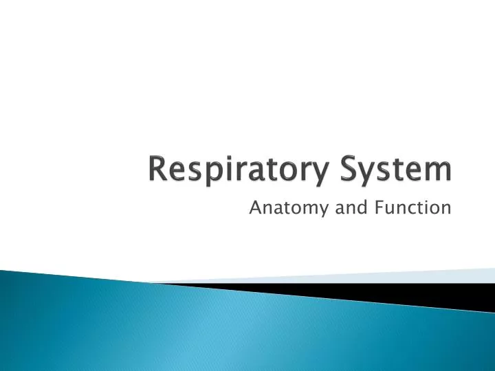 respiratory system