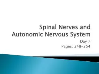 Spinal Nerves and Autonomic Nervous System