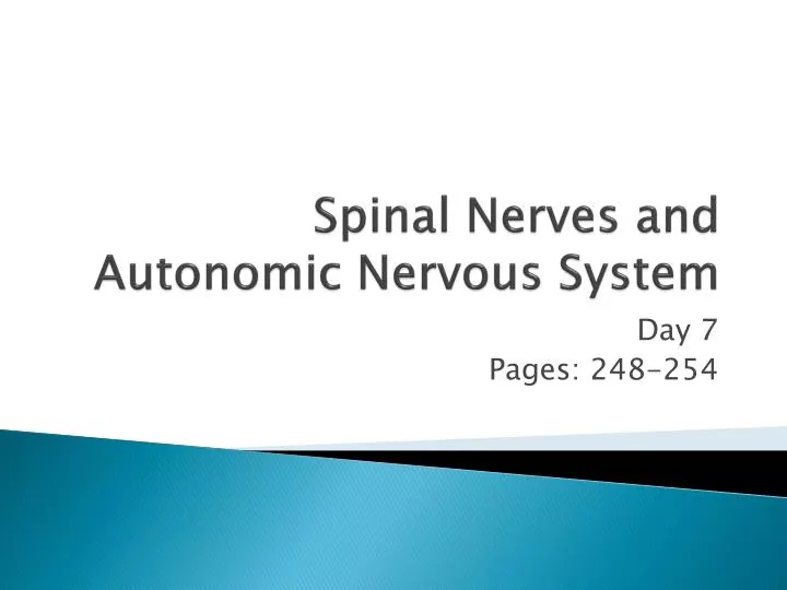 spinal nerves and autonomic nervous system
