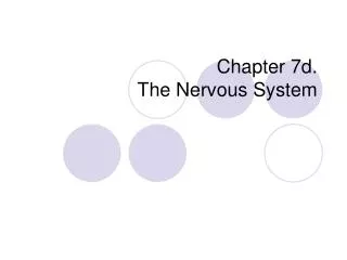 Chapter 7d. The Nervous System