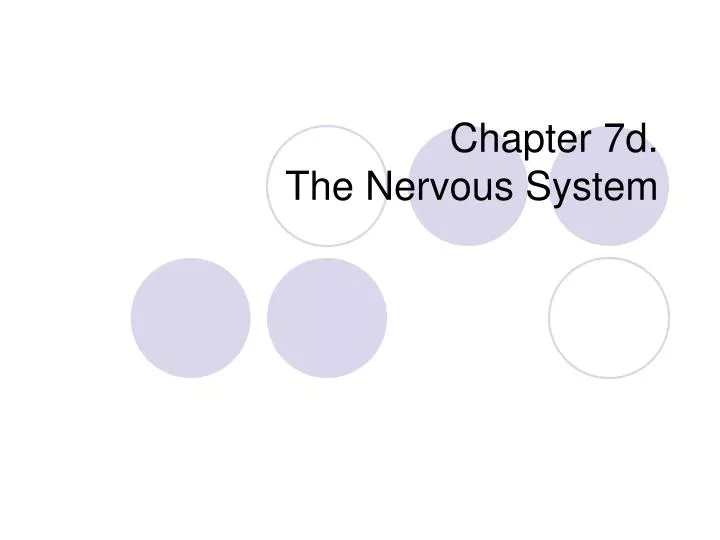 chapter 7d the nervous system
