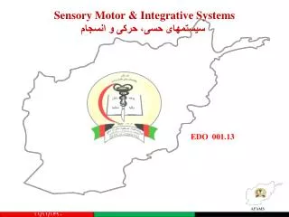 sensory motor integrative systems