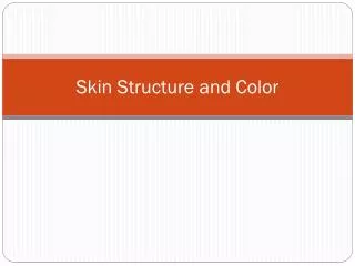 Skin Structure and Color