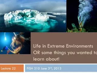 Life in Extreme Environments OR some things you wanted to learn about!