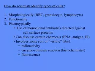 How do scientists identify types of cells? 1. Morphologically (RBC, granulocyte, lymphocyte)