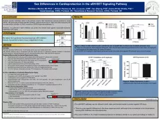 Sex Differences in Cardioprotection in the sEH/EET Signaling Pathway