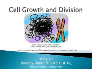 Cell Growth and Division