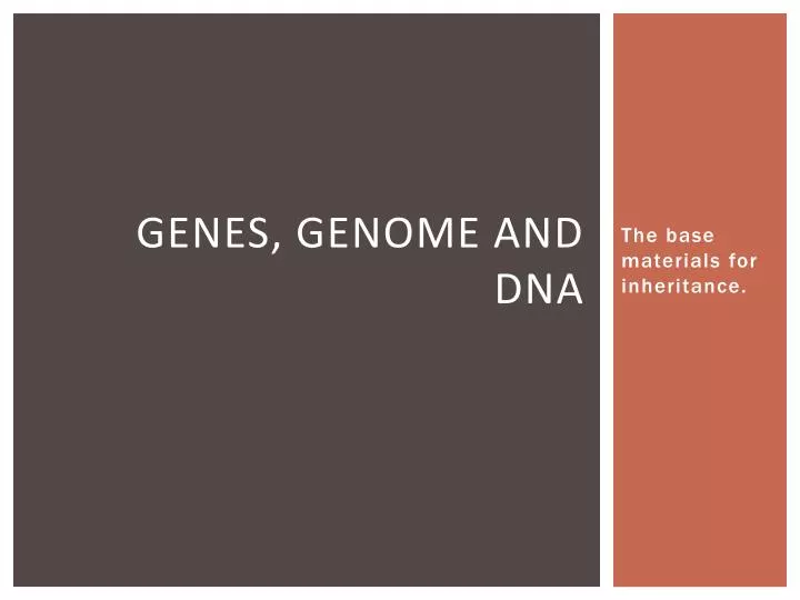 genes genome and dna