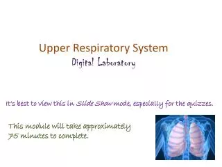 Upper Respiratory System Digital Laboratory