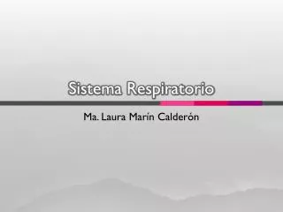 sistema respiratorio