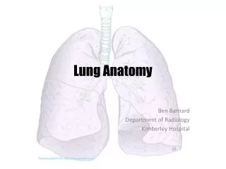 Lung Anatomy