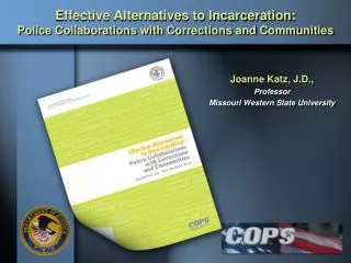 Effective Alternatives to Incarceration: Police Collaborations with Corrections and Communities