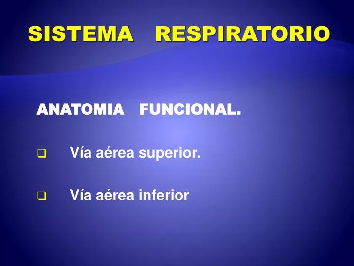 sistema respiratorio