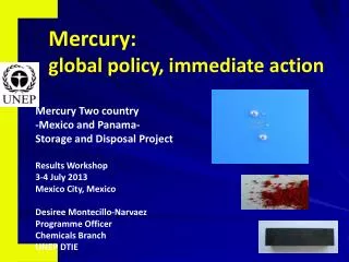 Mercury: global policy, immediate action