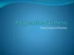 Polypeptide Synthesis - slide 1