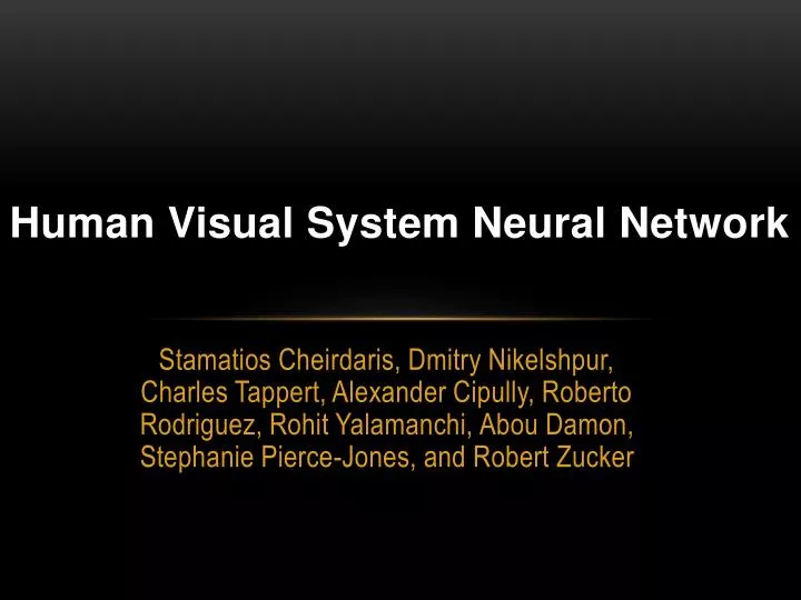 human visual system neural network