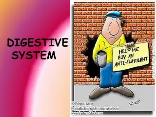 DIGESTIVE SYSTEM