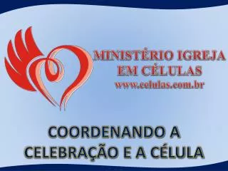 coordenando a celebra o e a c lula