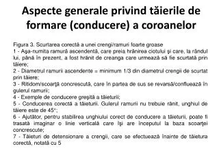 Aspecte generale privind tăierile de formare (conducere) a coroanelor