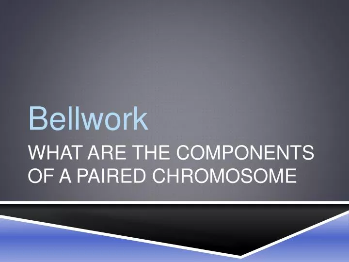 what are the components of a paired chromosome
