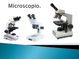 microscopio