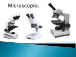 Microscopio. - slide 1