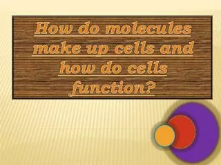 How do molecules make up cells and how do cells function?
