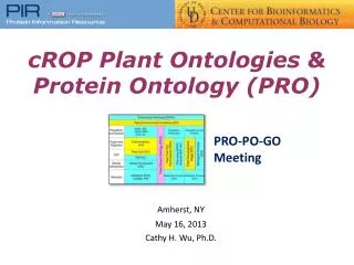 cROP Plant Ontologies &amp; Protein Ontology (PRO)