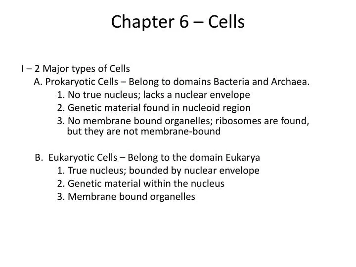 chapter 6 cells