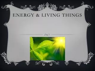 Energy &amp; Living Things