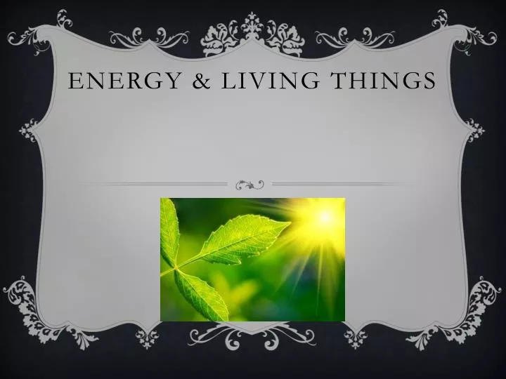 energy living things