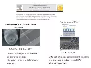 Previous work on CVD-grown SiNWs