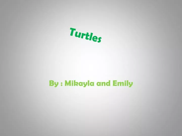 turtles