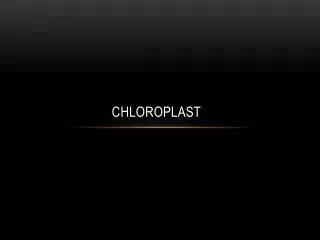 Chloroplast