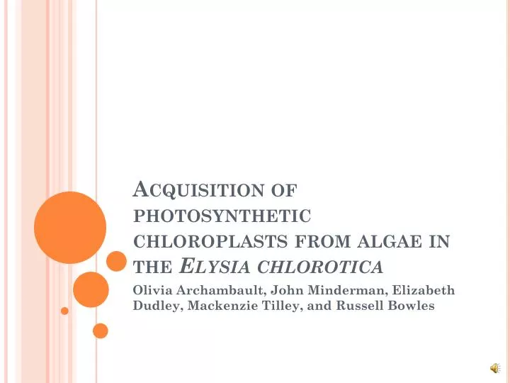 acquisition of photosynthetic chloroplasts from algae in the elysia chlorotica