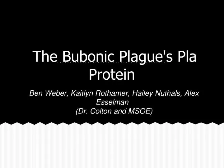 the bubonic plague s pla protein
