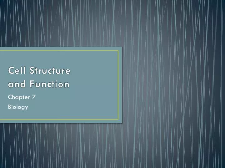 cell structure and function