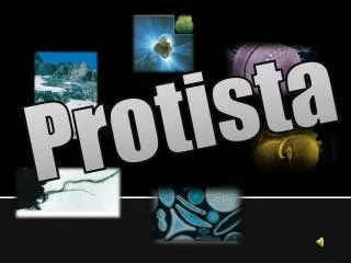 Protista