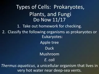 types of cells prokaryotes plants and fungi
