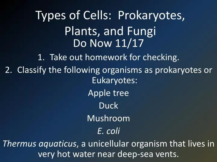 types of cells prokaryotes plants and fungi