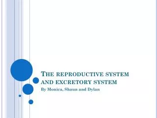 The reproductive system and excretory system