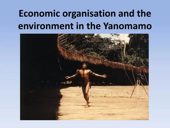 economic organisation and the environment in the yanomamo