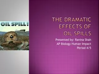 The dramatic effects of Oil Spills