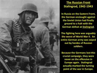The Russian Front Stalingrad, 1942-1943