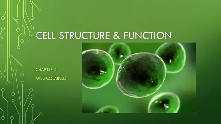 cell structure function