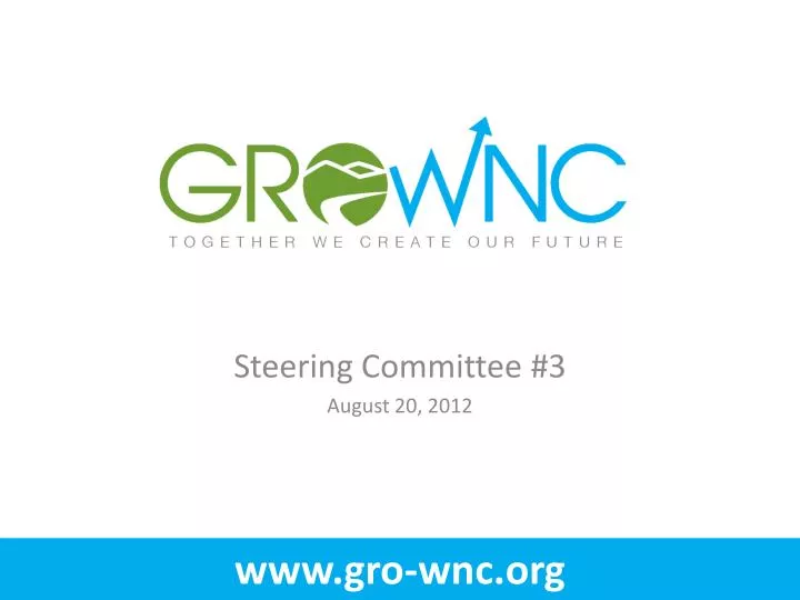 steering committee 3 august 20 2012