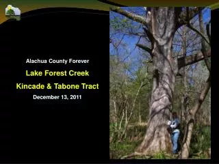 Alachua County Forever Lake Forest Creek Kincade &amp; Tabone Tract December 13, 2011